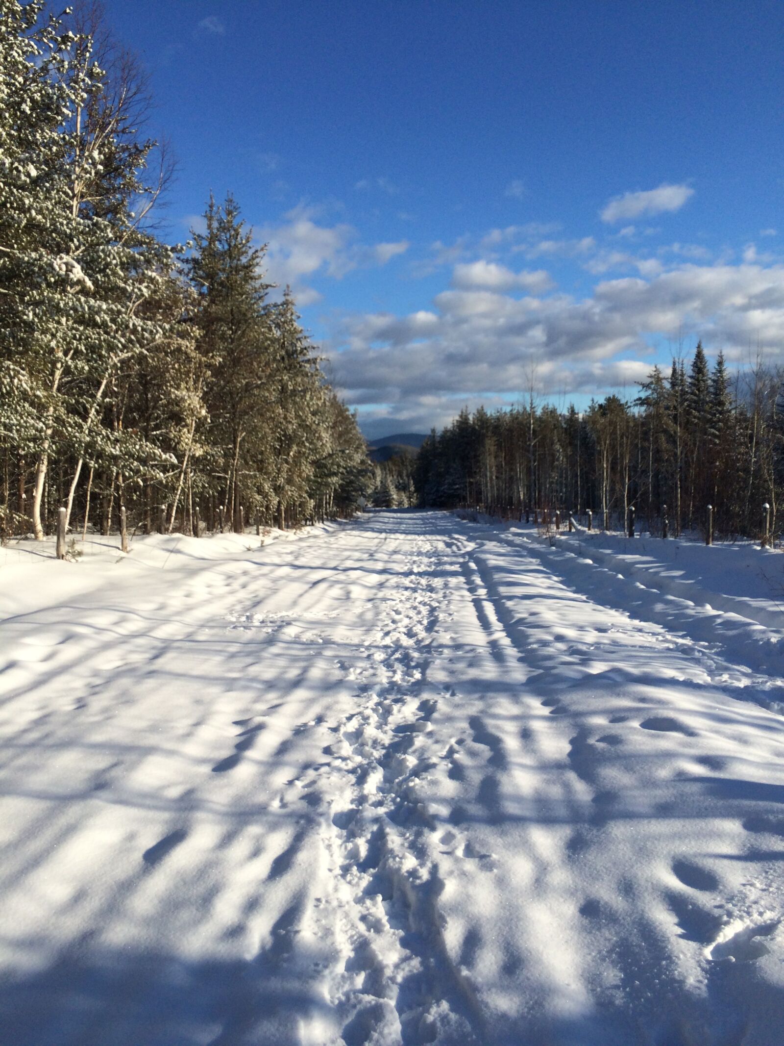 iPhone 5s back camera 4.15mm f/2.2 sample photo. Canada, winter, quebec photography