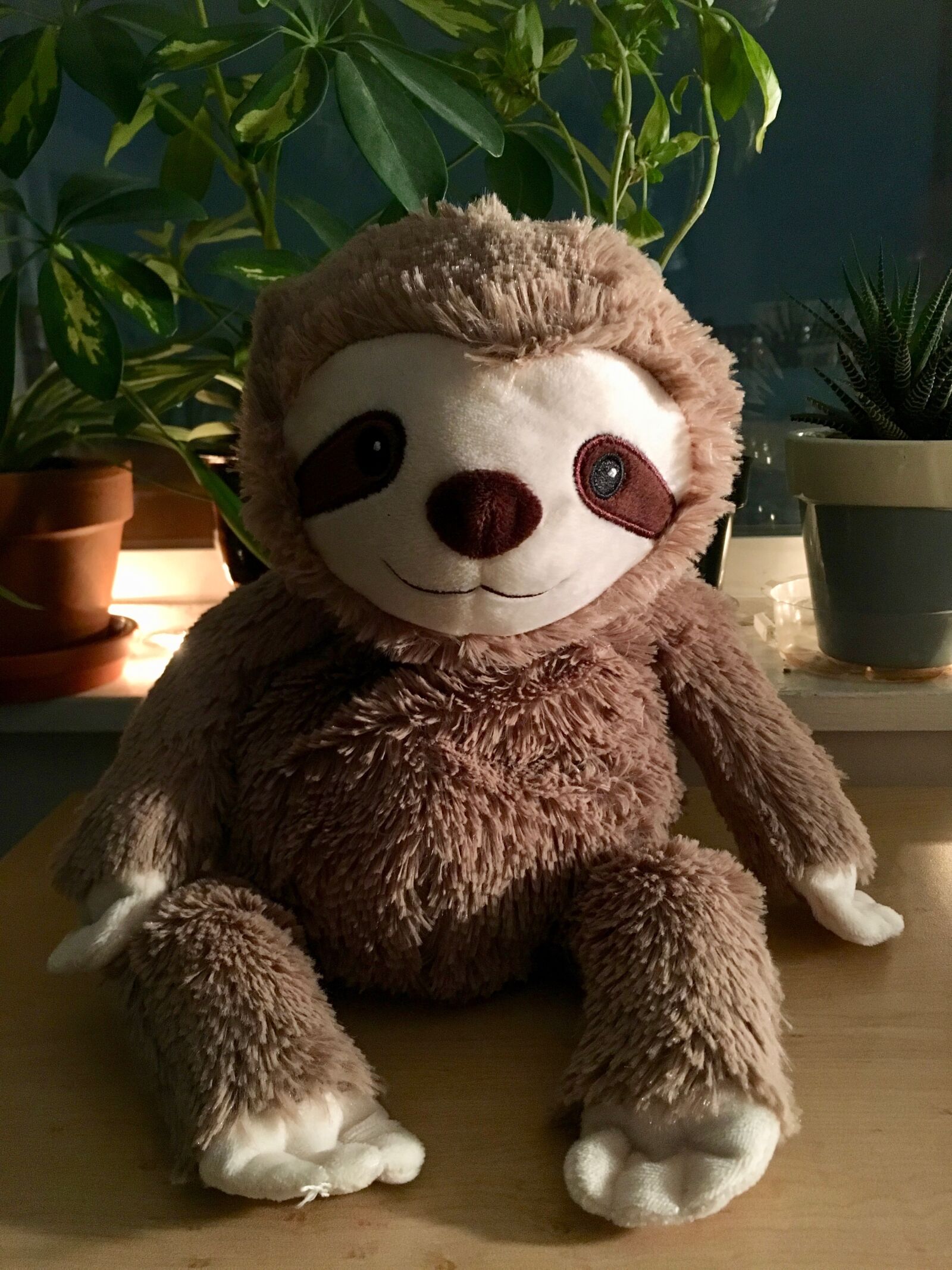 Apple iPhone 6s sample photo. Sloth, stuffed animal, cute photography