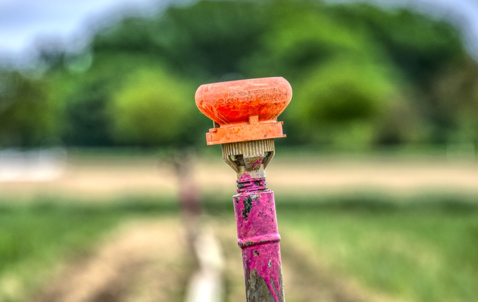 Sony a6000 sample photo. Irrigation, agriculture, water photography