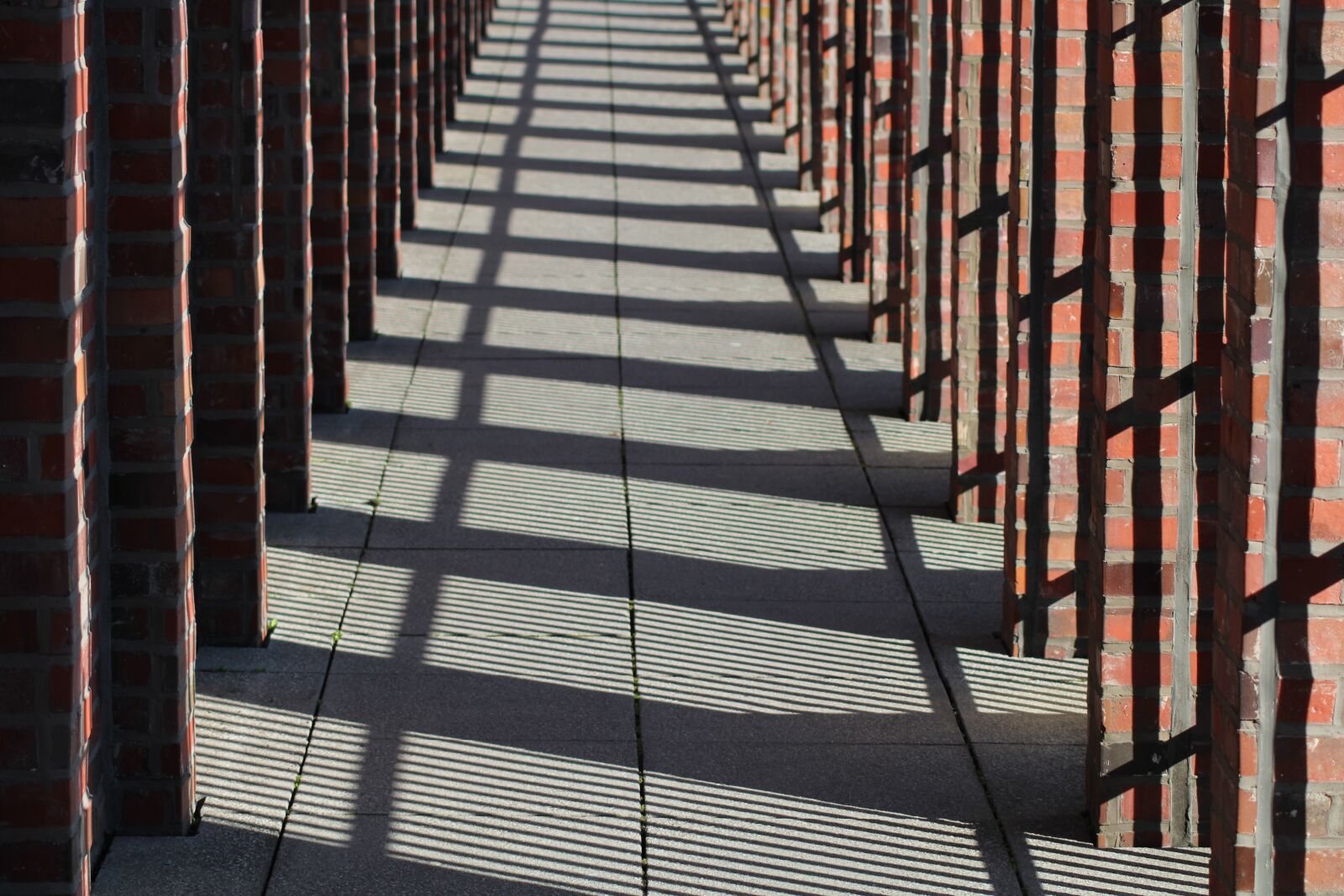Canon EOS 2000D (EOS Rebel T7 / EOS Kiss X90 / EOS 1500D) sample photo. Columnar, light, shadow photography