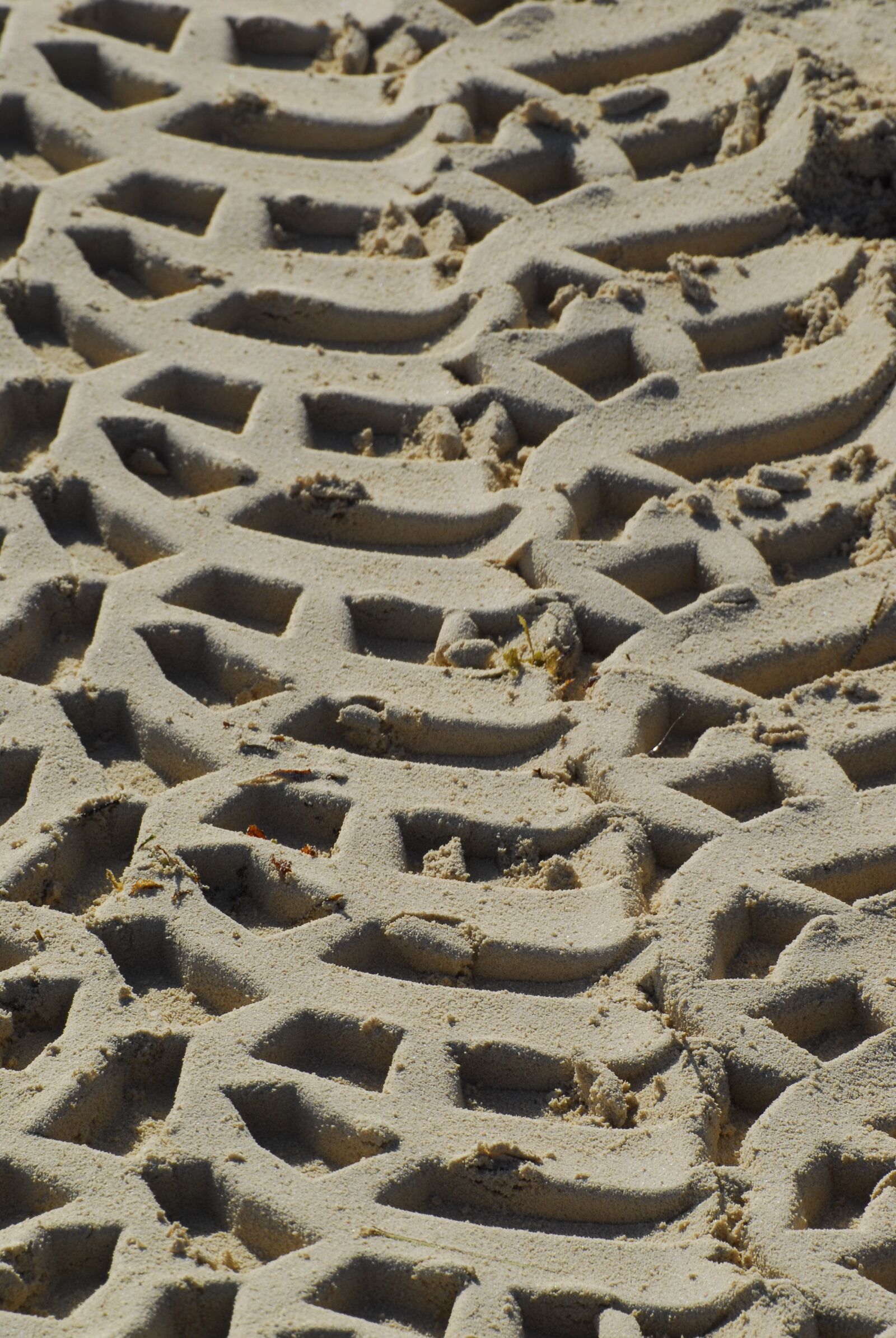 Nikon D200 sample photo. Beach, sand, by the photography