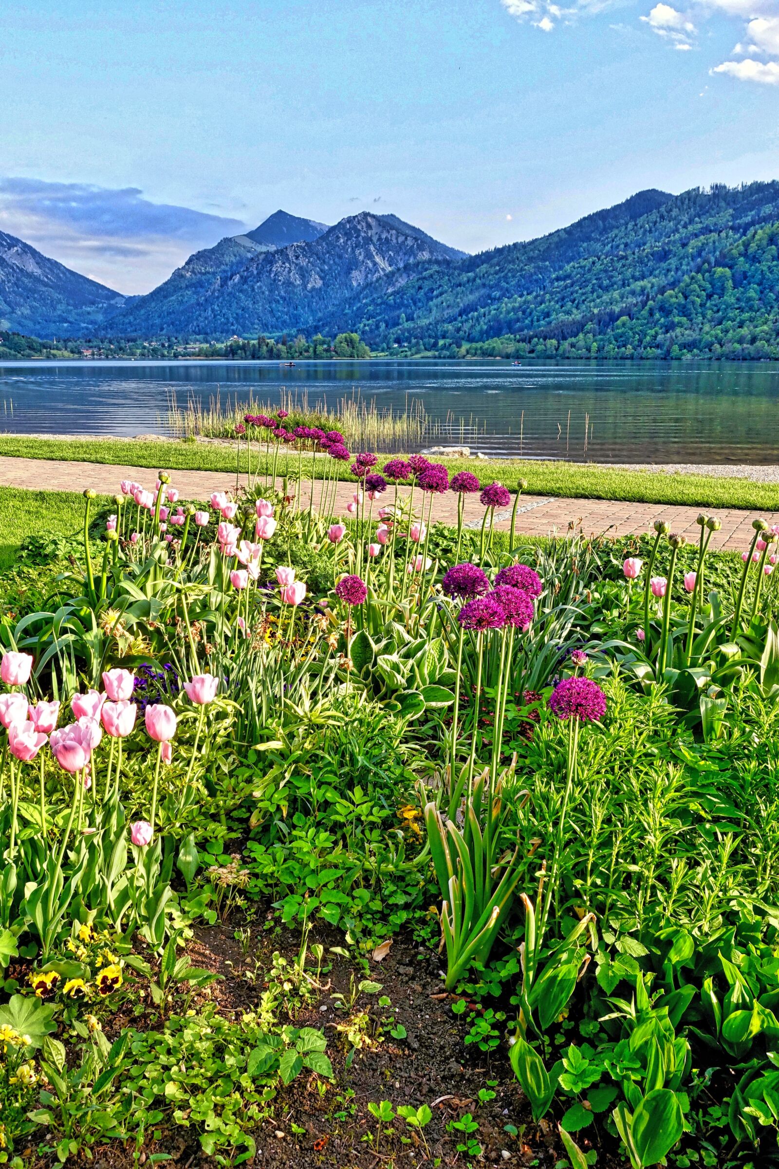 Sony Cyber-shot DSC-RX100 III sample photo. Flowers, mountains, landscape photography