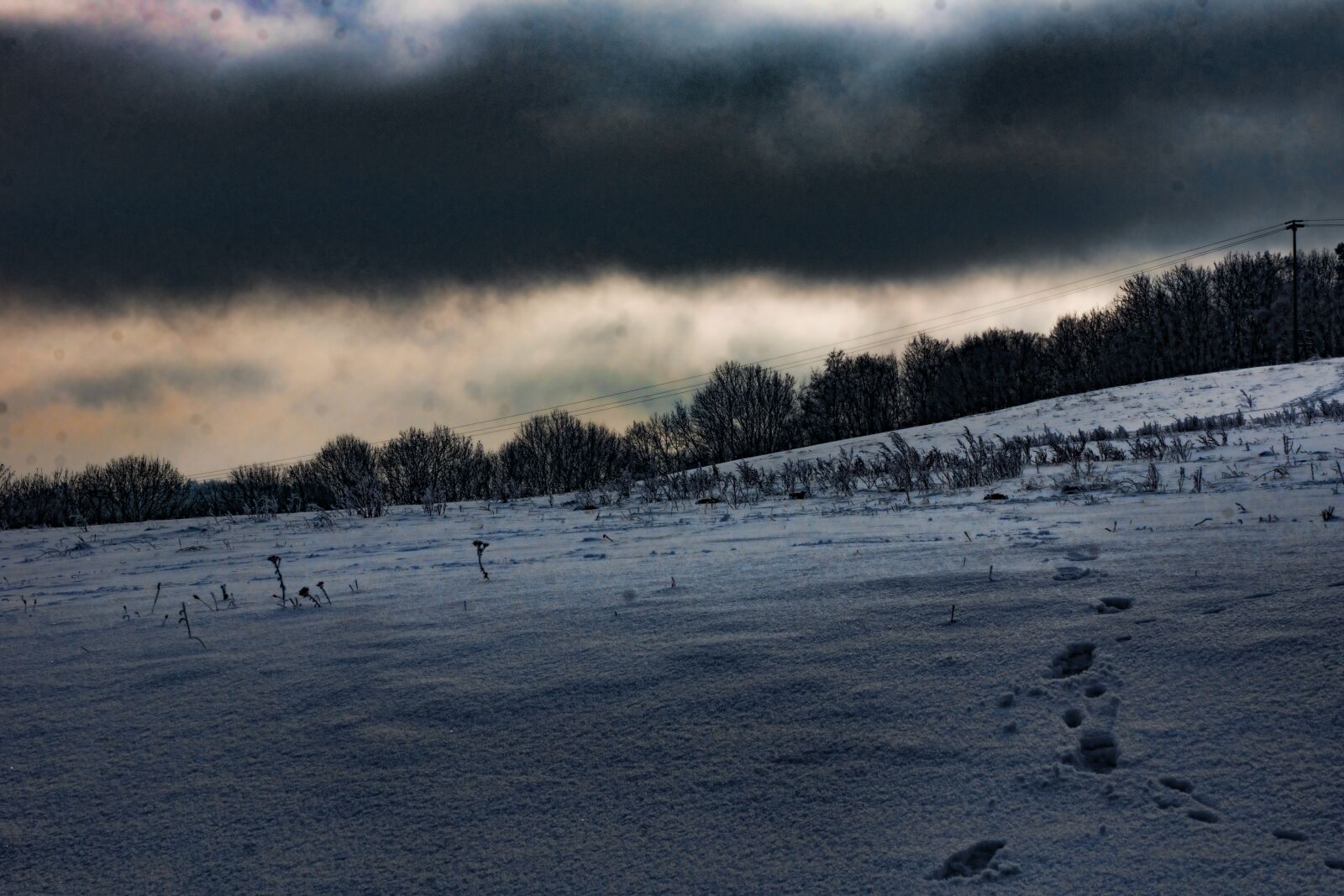 Sony SLT-A77 + Sony DT 16-50mm F2.8 SSM sample photo. Winter, frost, snow photography