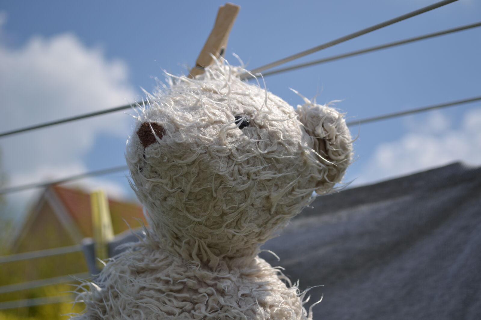 Nikon D3100 sample photo. Spring, teddy, bear, toy photography