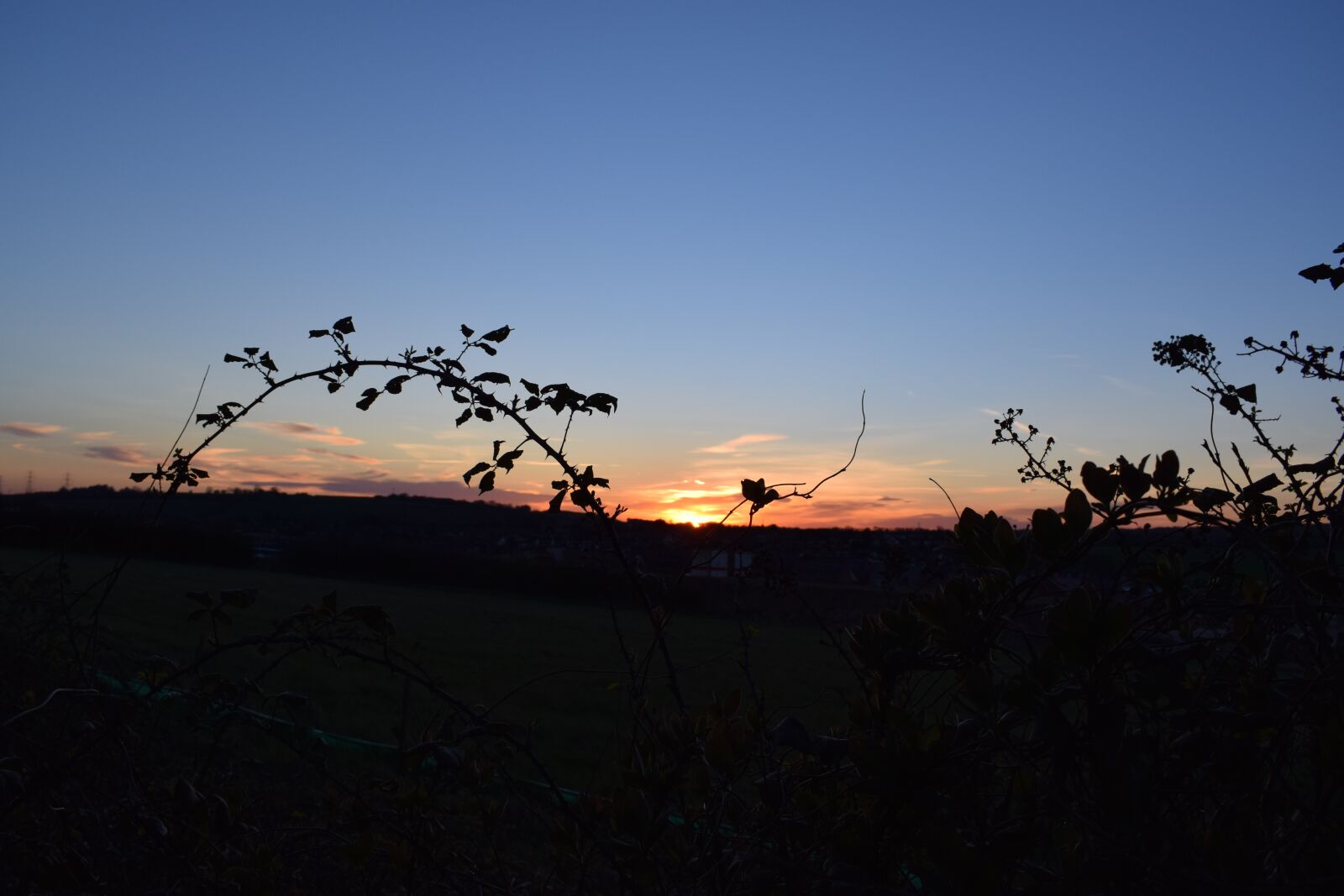 Nikon D3300 sample photo. Sunset, summer, warmth photography