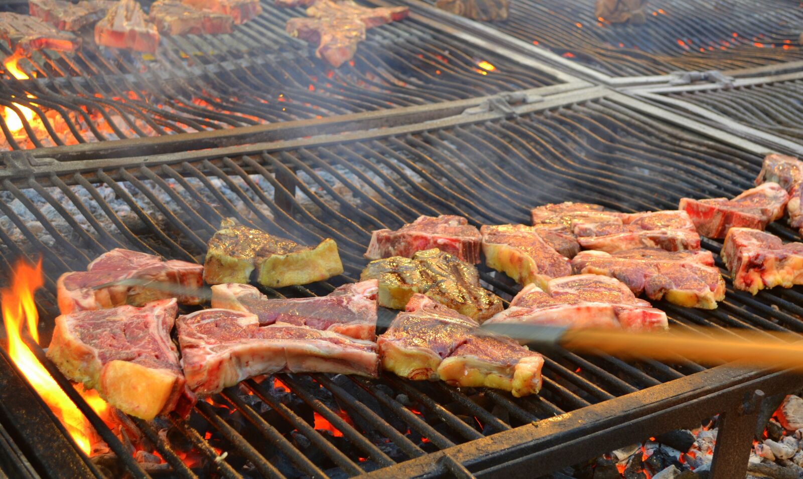 Nikon D3100 sample photo. Tuscany, steak, grid photography