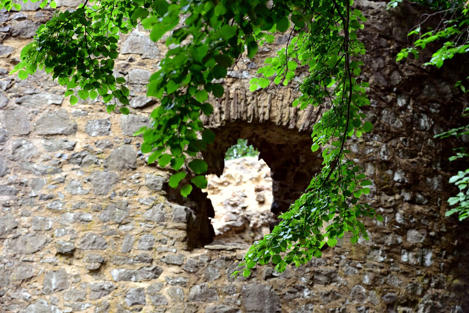 Nikon D610 sample photo. Castle, wall, stones photography