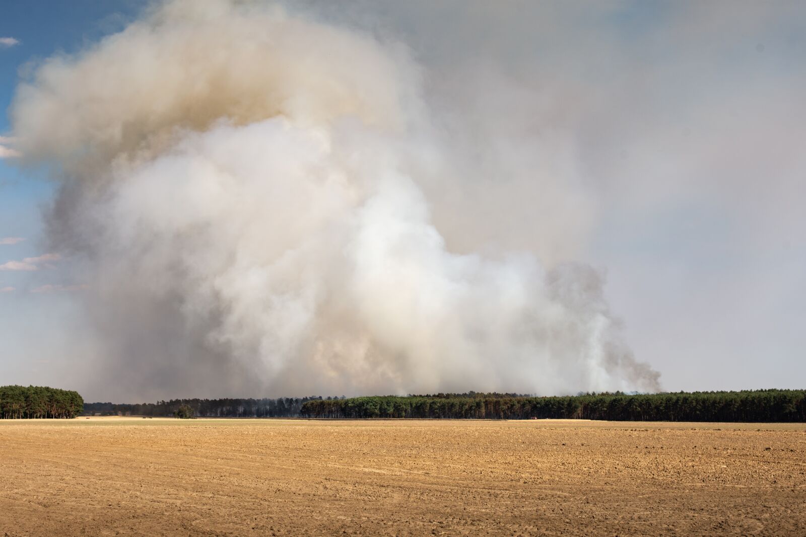Nikon D7200 sample photo. Brand, forest fire, risk photography
