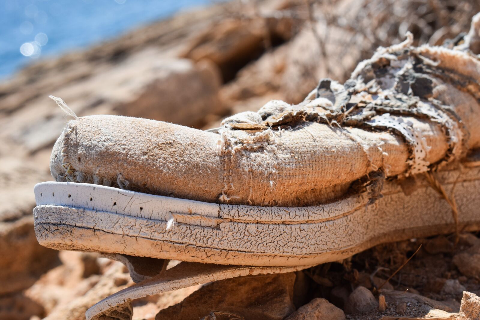 Nikon D3300 sample photo. Shoe, old shoe, decay photography