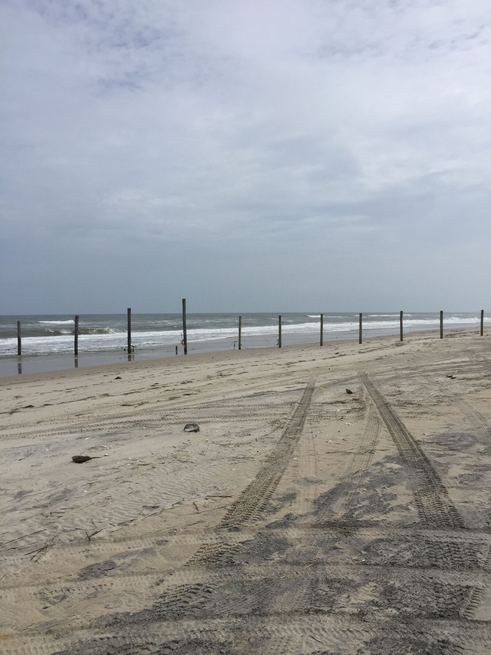 iPhone 6 Plus back camera 4.15mm f/2.2 sample photo. Maryland, virginia, beach photography