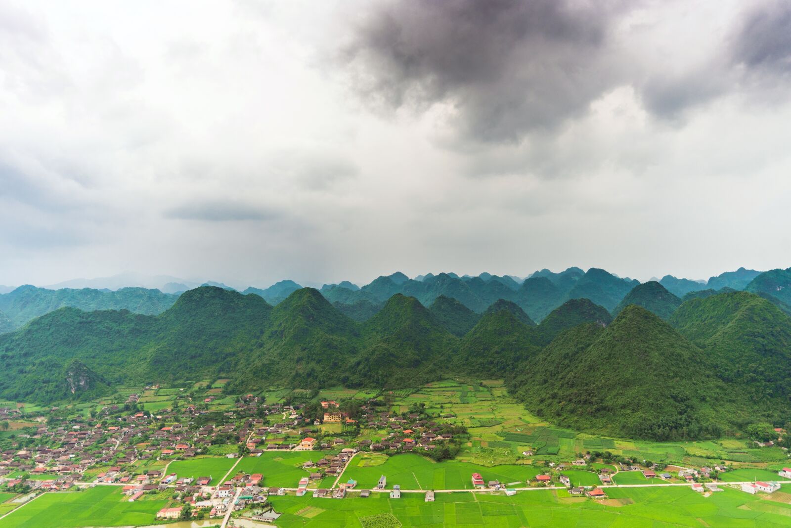 Nikon D750 sample photo. Bac son, rice, field photography