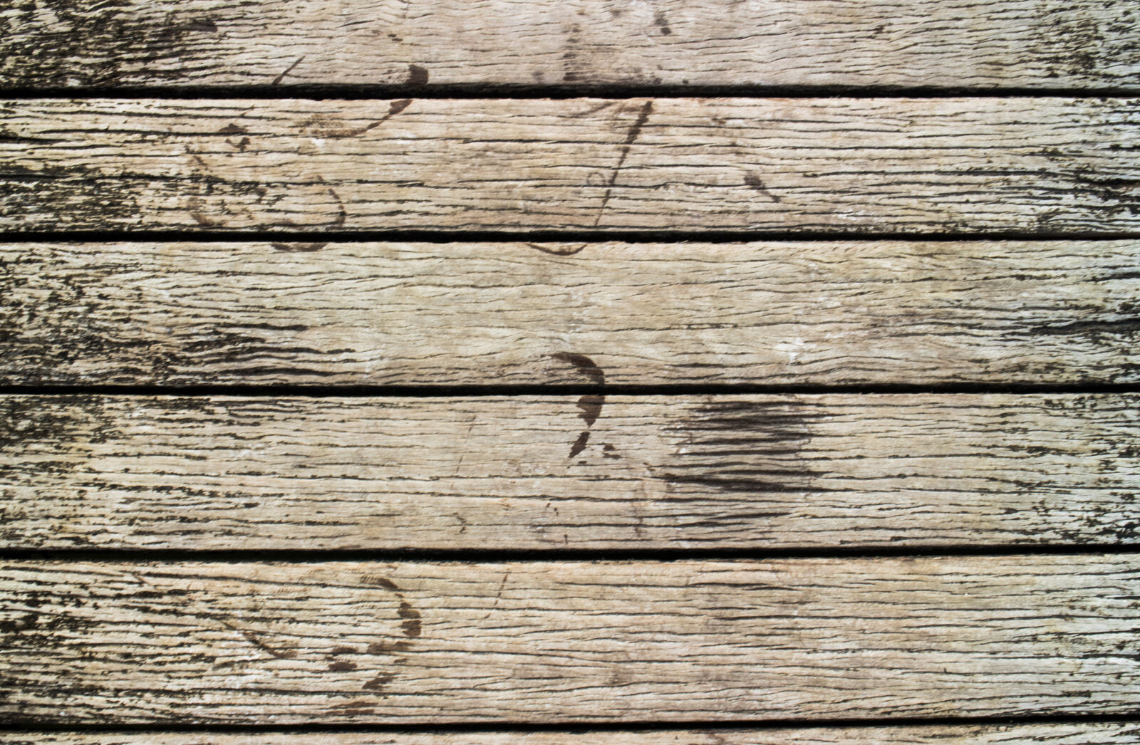 Canon EOS M2 sample photo. Full, frame, shot, of photography