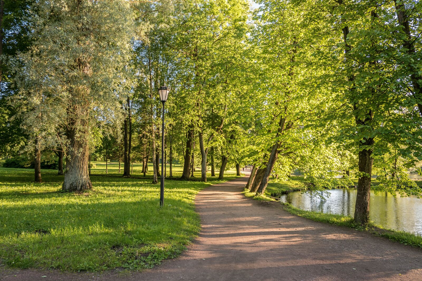 Fujifilm X-A2 + Fujifilm XC 16-50mm F3.5-5.6 OIS II sample photo. Park, gatchina, stroll photography