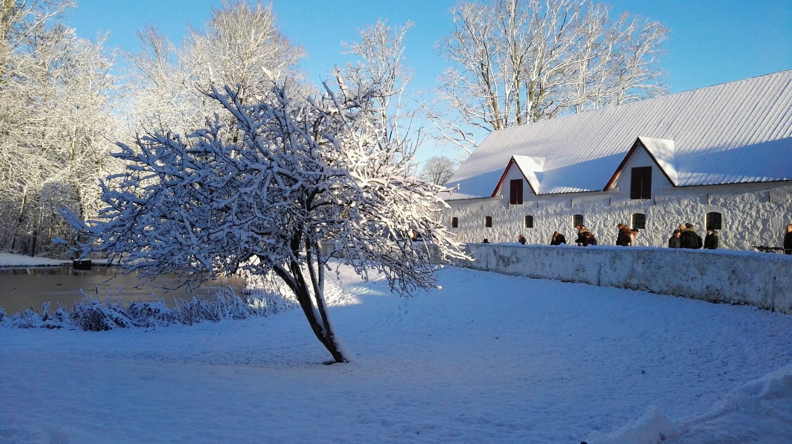 HUAWEI P8 sample photo. Snow, wood, winter photography