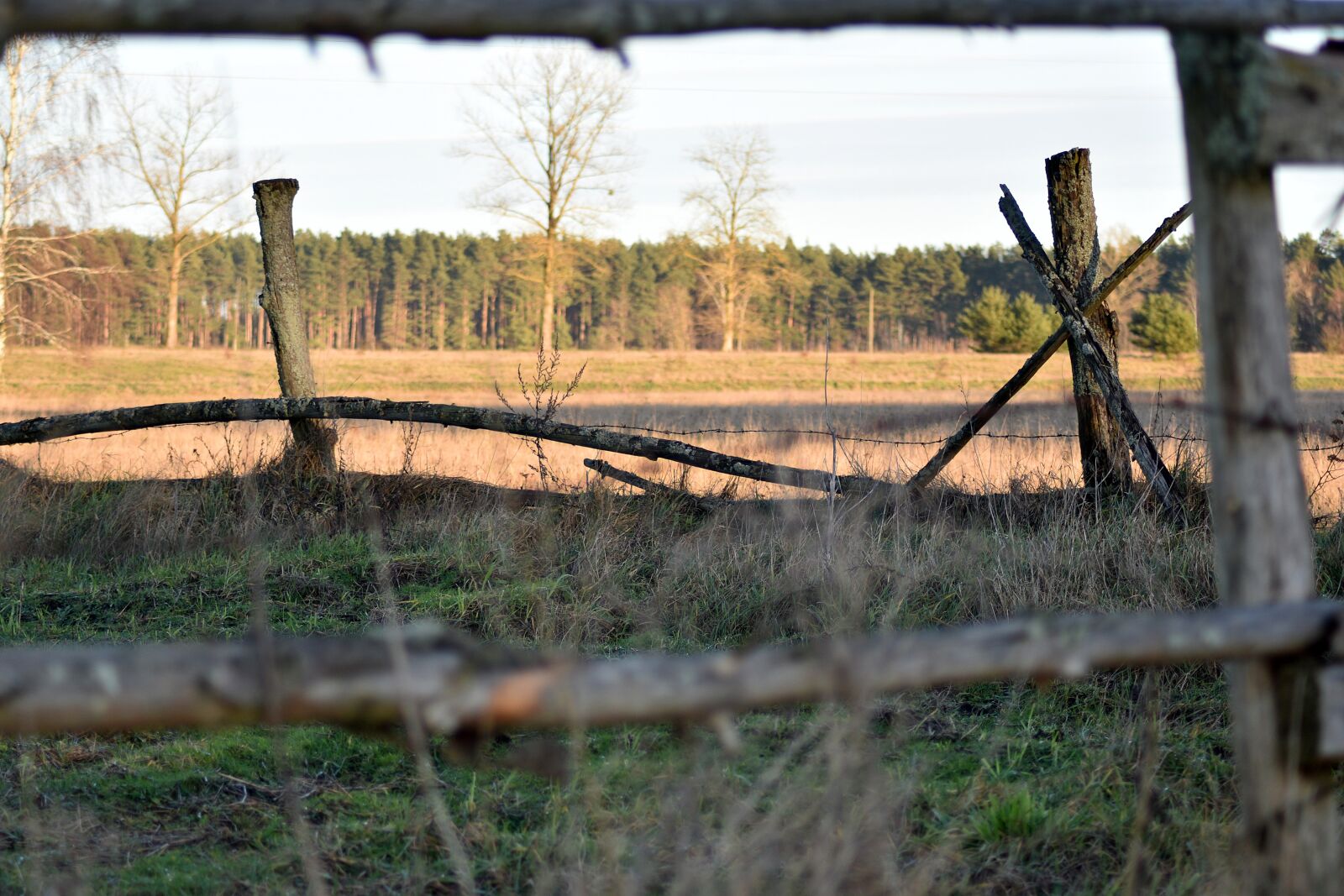 Nikon D3400 sample photo. Landscape, field, sky photography