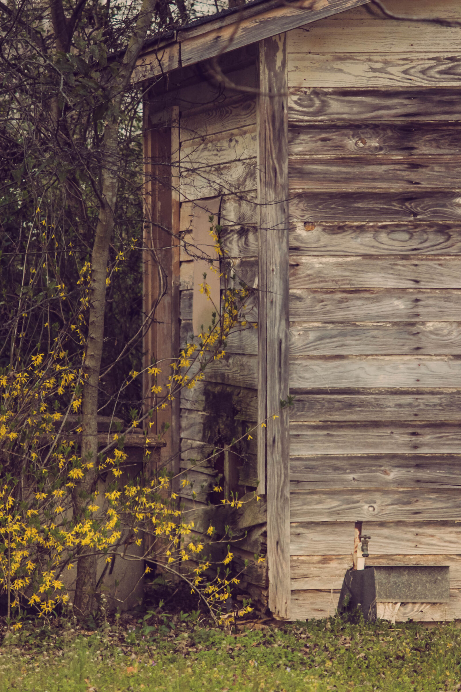 Canon EOS 600D (Rebel EOS T3i / EOS Kiss X5) sample photo. Autumn, barn, fall, moddy photography