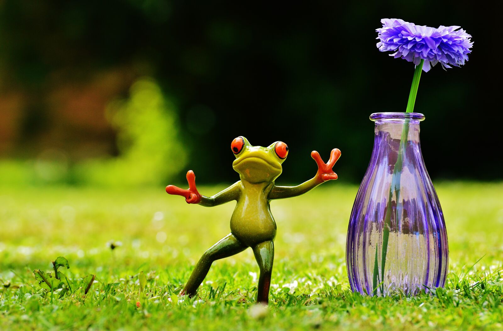 Nikon D3200 sample photo. Frog, gesture, peace photography
