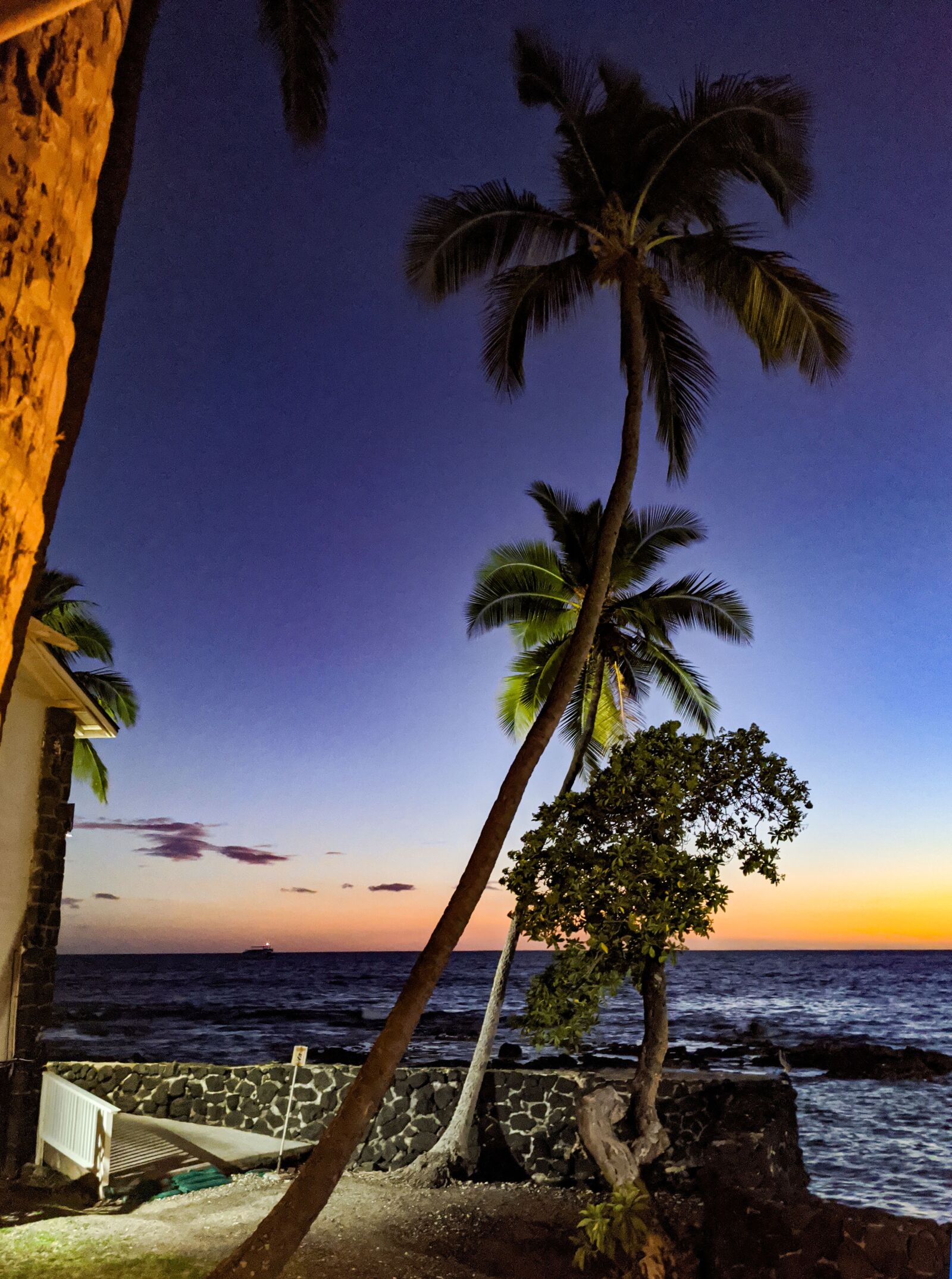 Google Pixel 4 sample photo. Kona, hawaii, palm tree photography