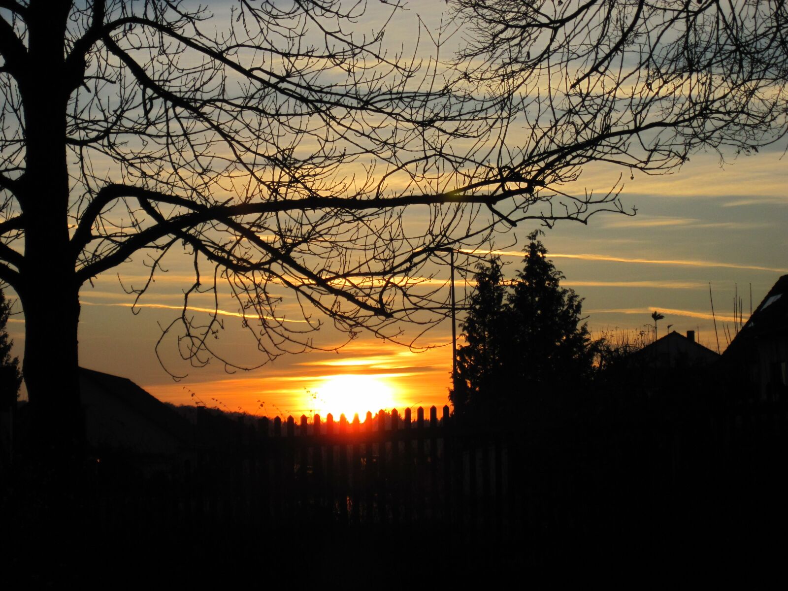 Canon PowerShot D10 sample photo. Sunset, tree, fence photography