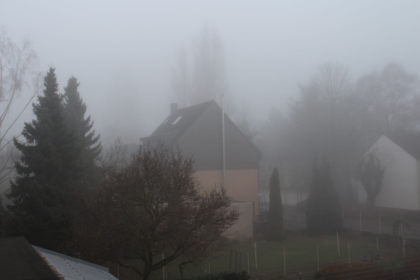 Canon EOS 1300D (EOS Rebel T6 / EOS Kiss X80) sample photo. Fog, mist photography