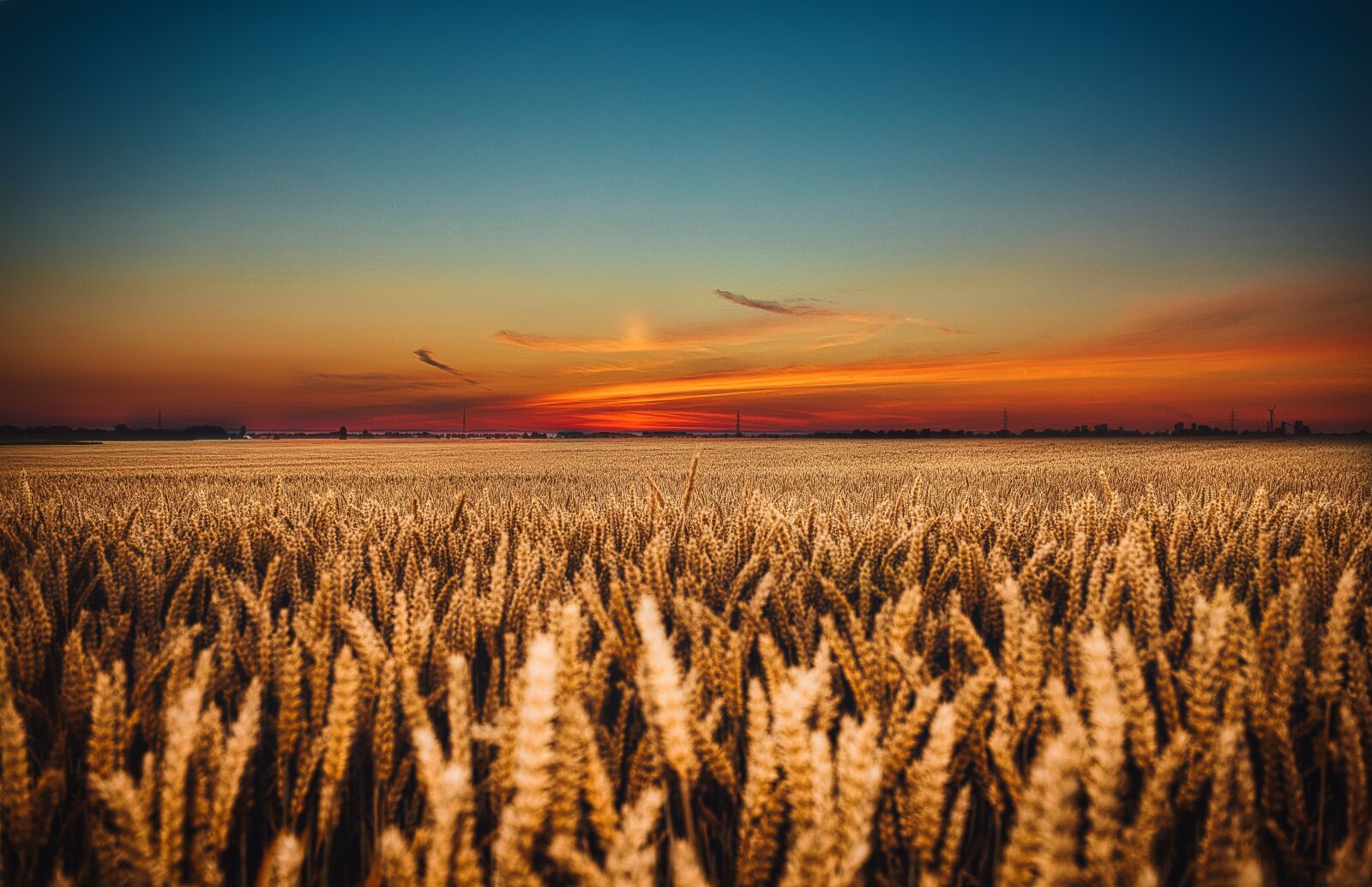 EF28-70mm f/2.8L USM sample photo. Morning, nature, landscape photography