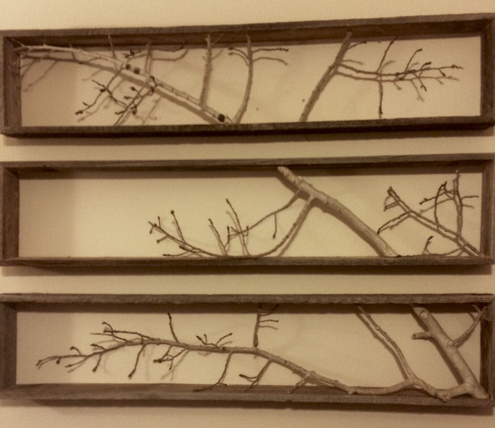 iPhone 5s back camera 4.15mm f/2.2 sample photo. Art, branches, decoration photography