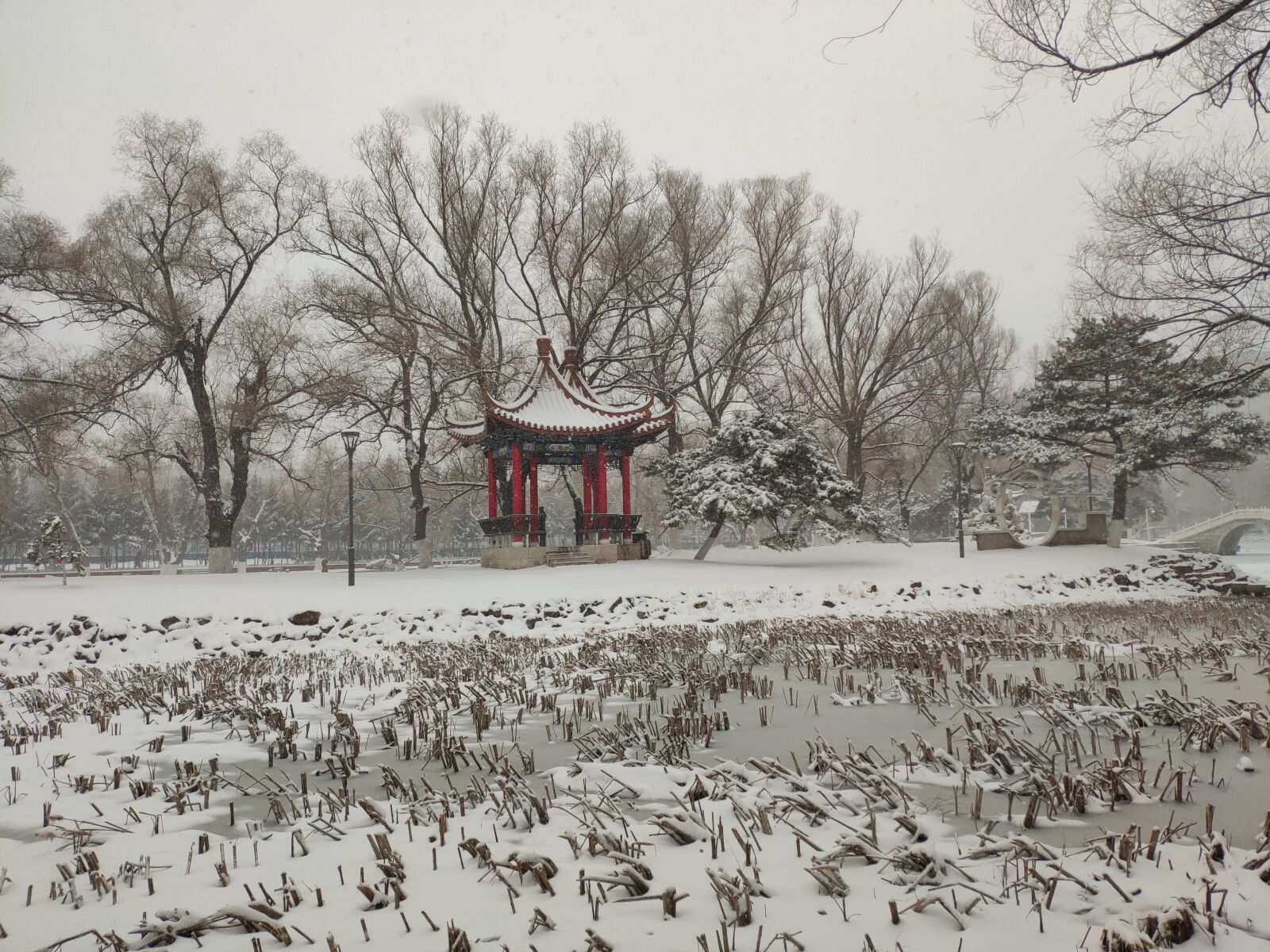 Xiaomi MI 8 sample photo. Winter, snow, pavilion photography