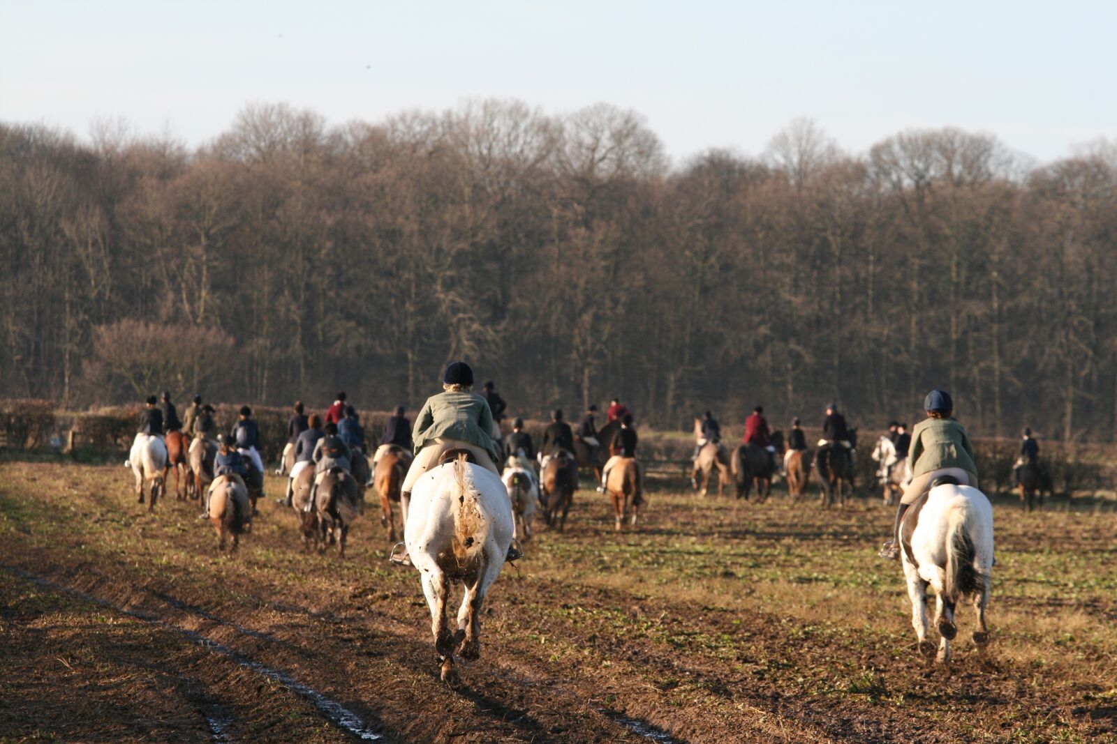 Canon EOS 400D (EOS Digital Rebel XTi / EOS Kiss Digital X) sample photo. Hunting, equestrian, gallop photography
