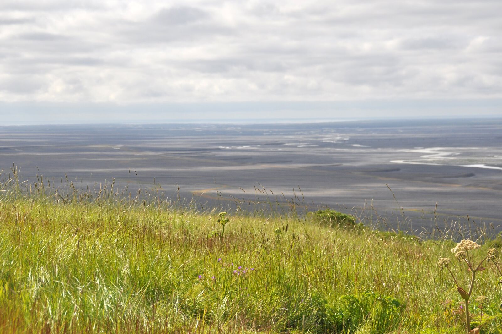 Nikon D90 sample photo. Iceland, landscape, grass photography