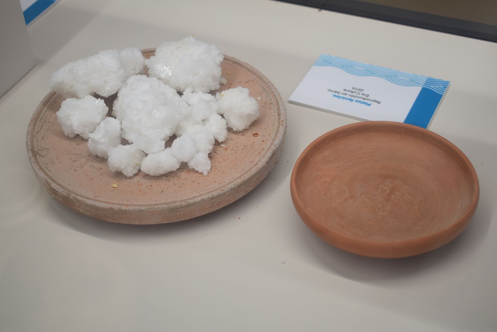 Nikon D3300 sample photo. Salt, crock, mud photography