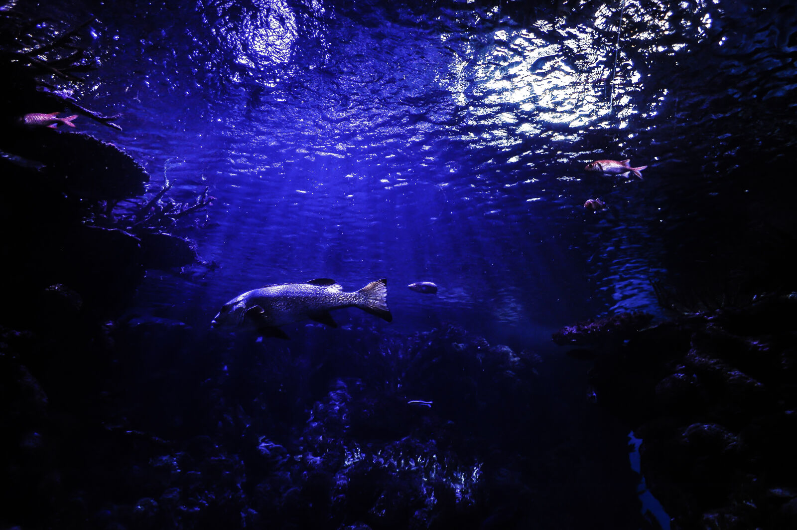 Nikon D5000 sample photo. Sea, water, ocean, dark photography
