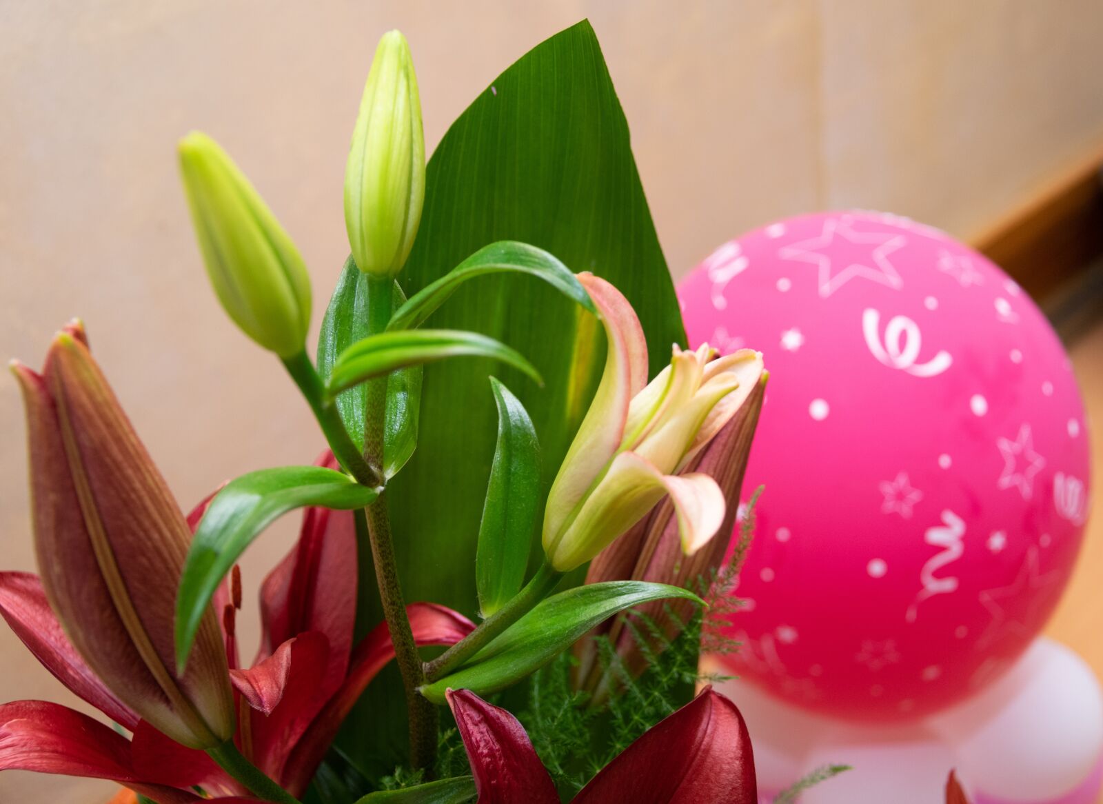 Nikon D3300 sample photo. Flower, orchid, blooms at photography