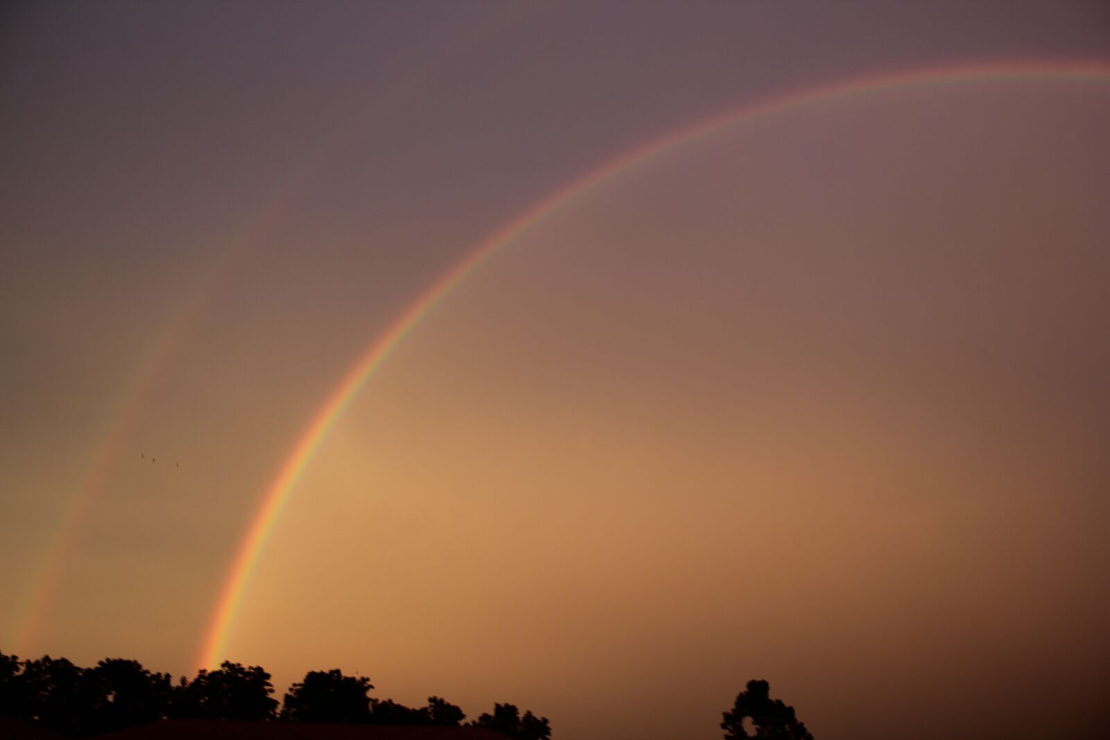 Canon EOS 550D (EOS Rebel T2i / EOS Kiss X4) sample photo. Double rainbow, rainbow, double photography