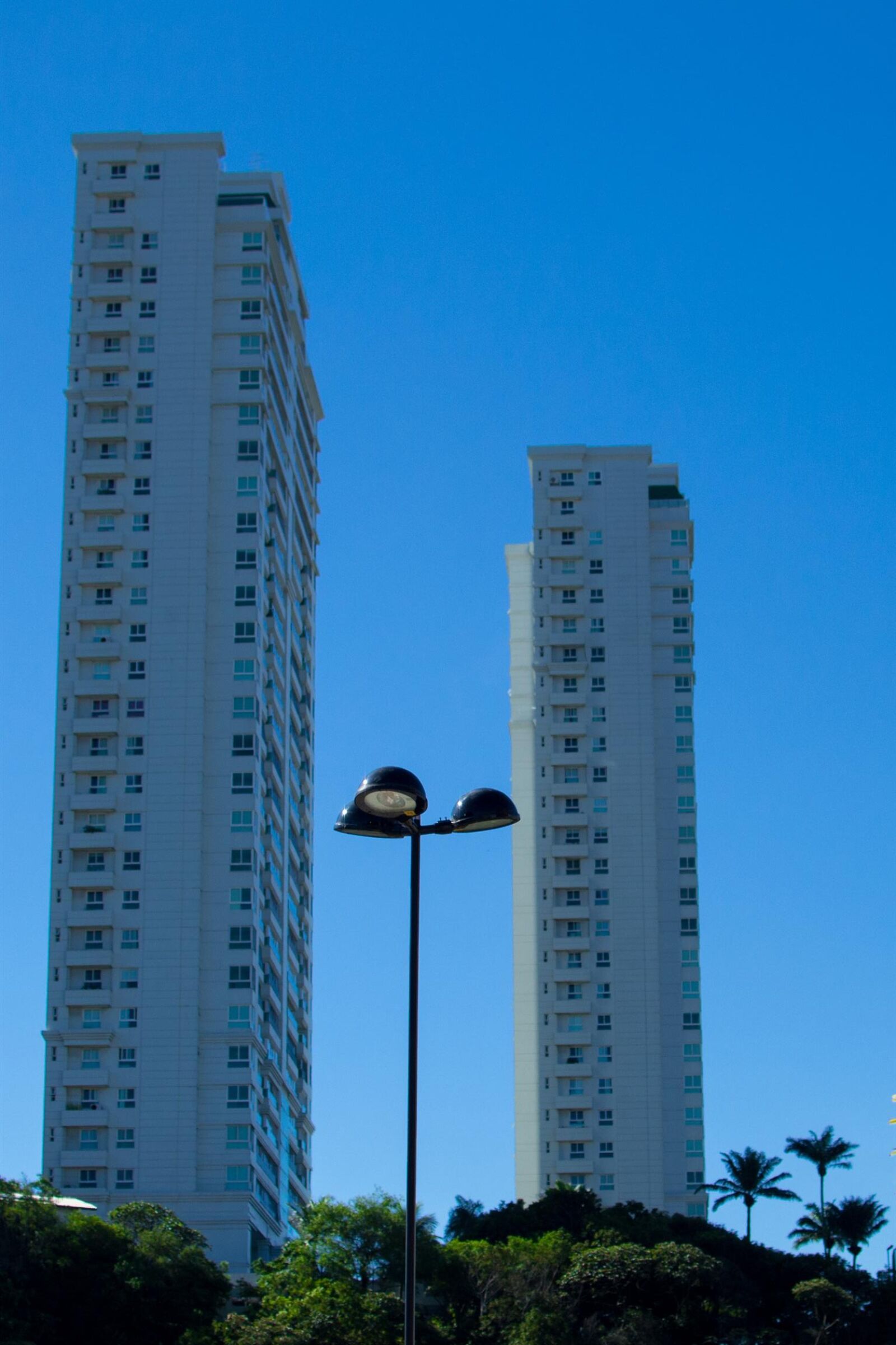 Nikon D3100 sample photo. Black, light, post, near photography