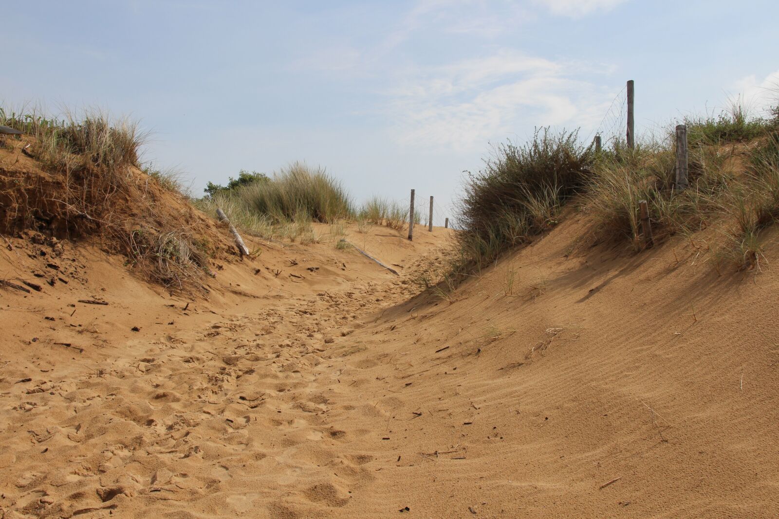 Canon EOS 700D (EOS Rebel T5i / EOS Kiss X7i) sample photo. Oléron, beach, dune photography