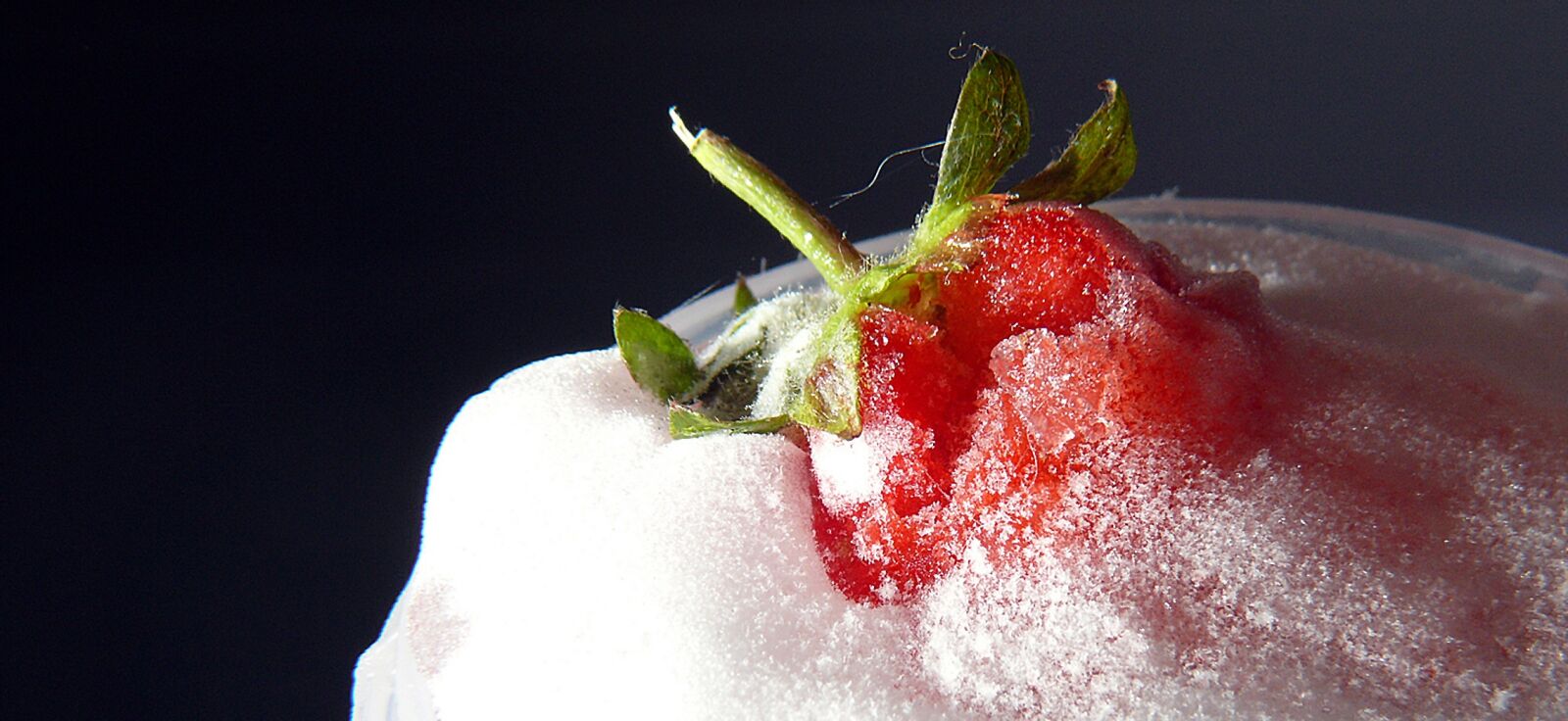 Leica V-LUX 1 sample photo. Appetizing, berry, delicate photography