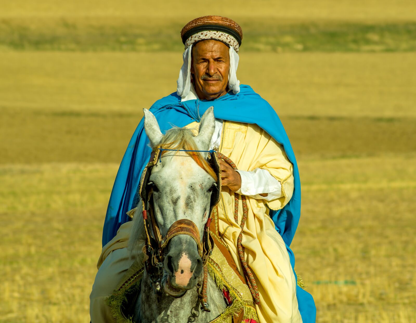 Sony SLT-A58 sample photo. Cavalry, celebrate, wedding photography