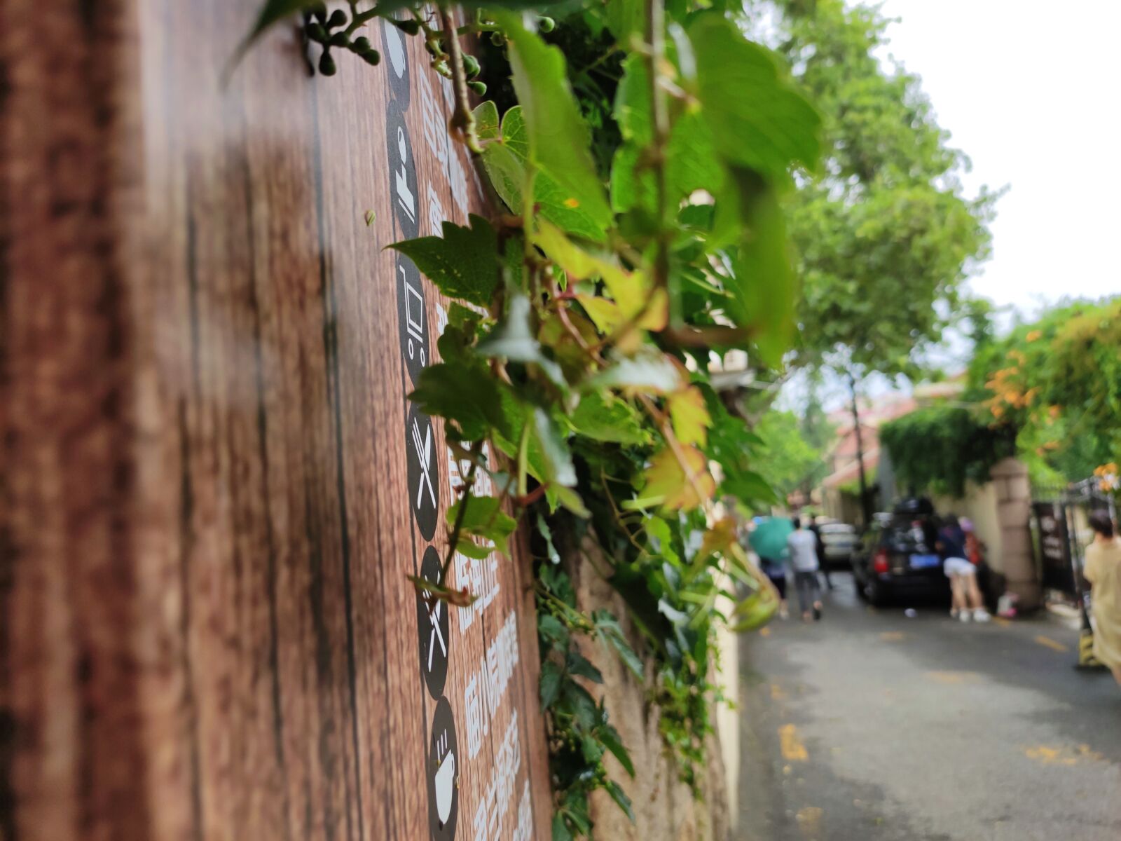 Xiaomi Redmi Note 7 Pro sample photo. Flower, wall, spring photography