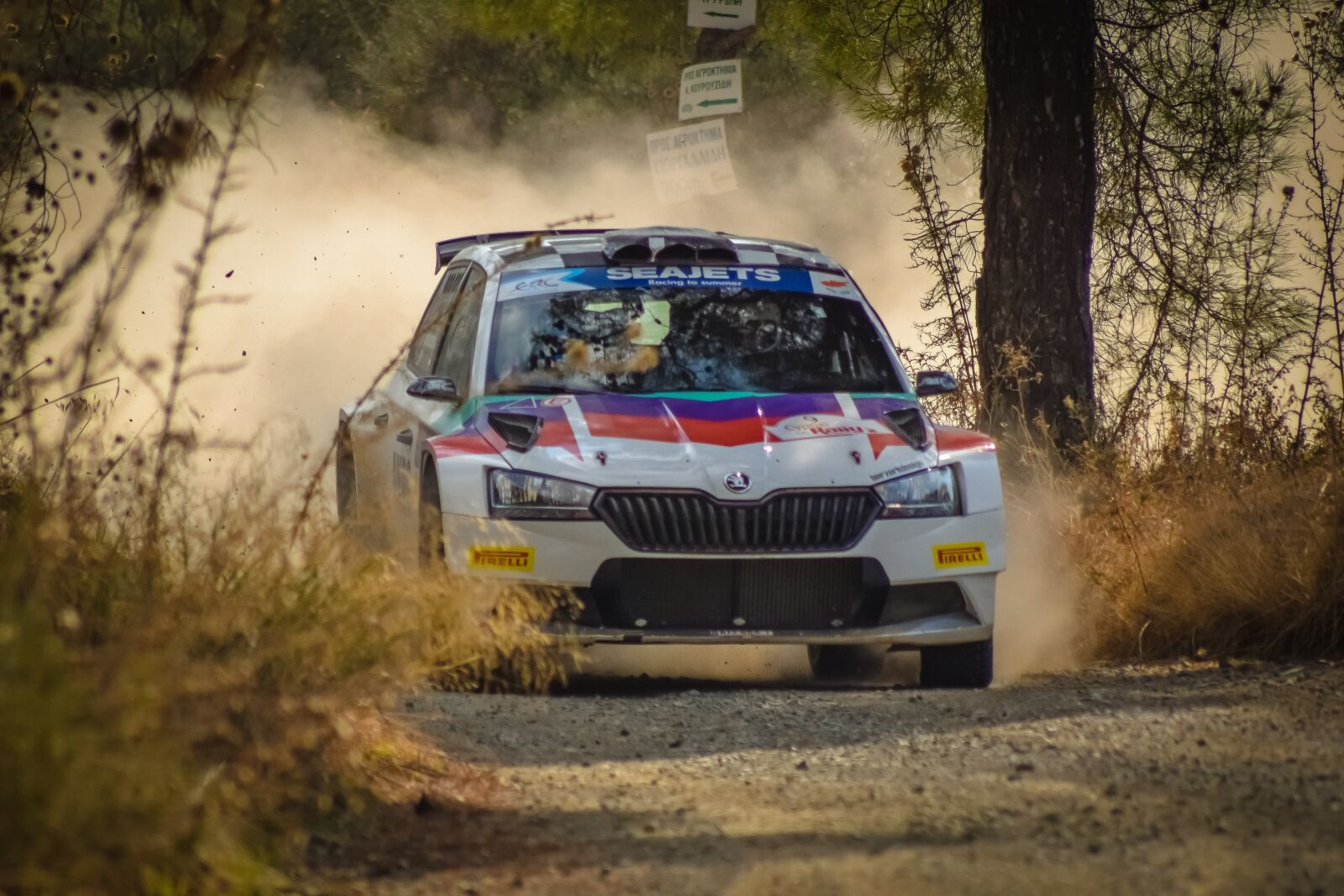 Nikon D3300 sample photo. Car, rally, auto photography