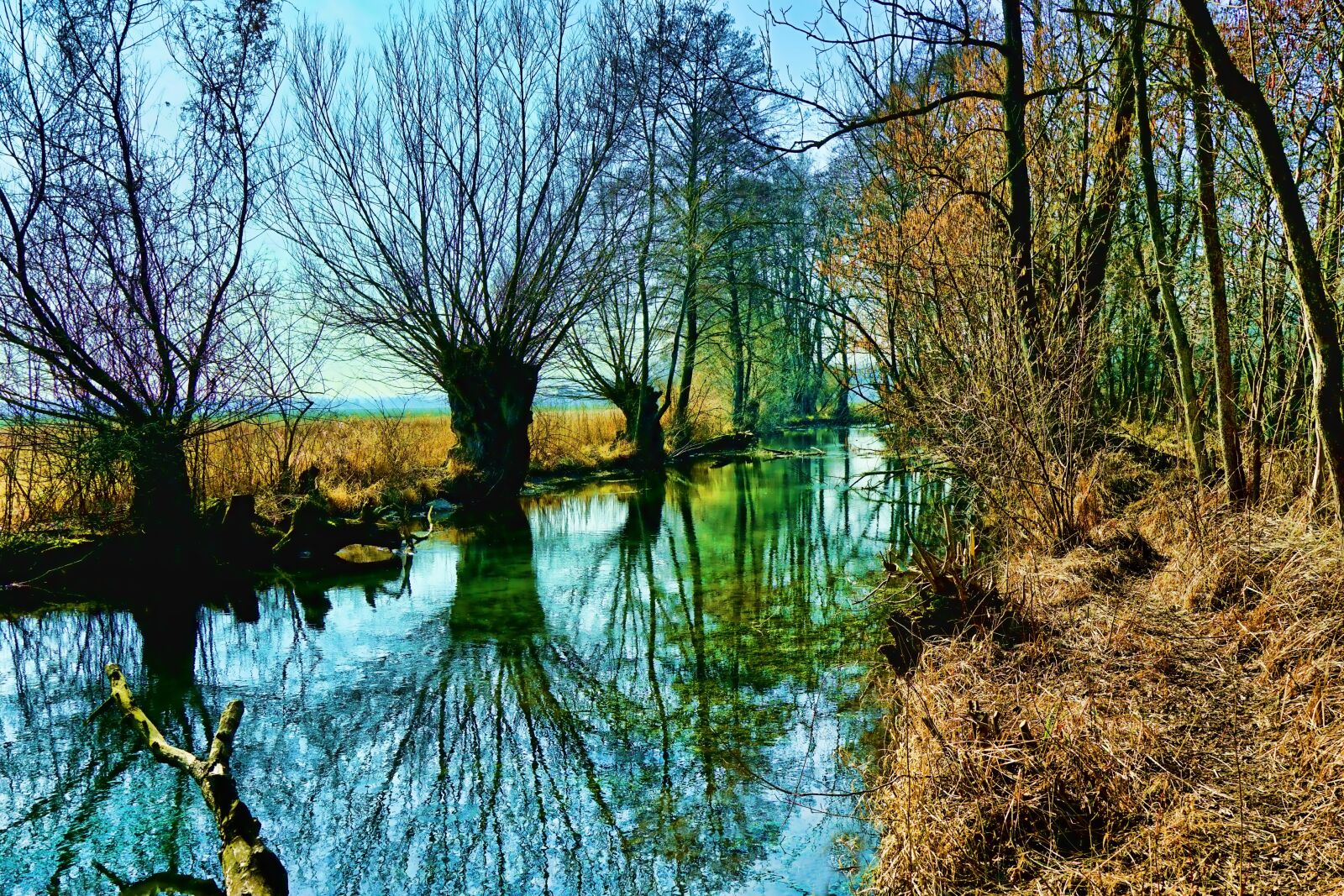 Sony E 18-135mm F3.5-5.6 OSS sample photo. Nature, tree, waters photography
