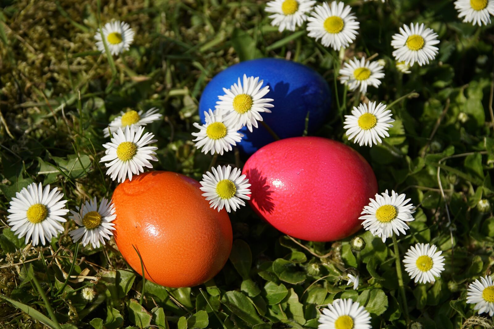 Sony a7R II + Sony E PZ 18-105mm F4 G OSS sample photo. Easter, eggs, painted photography