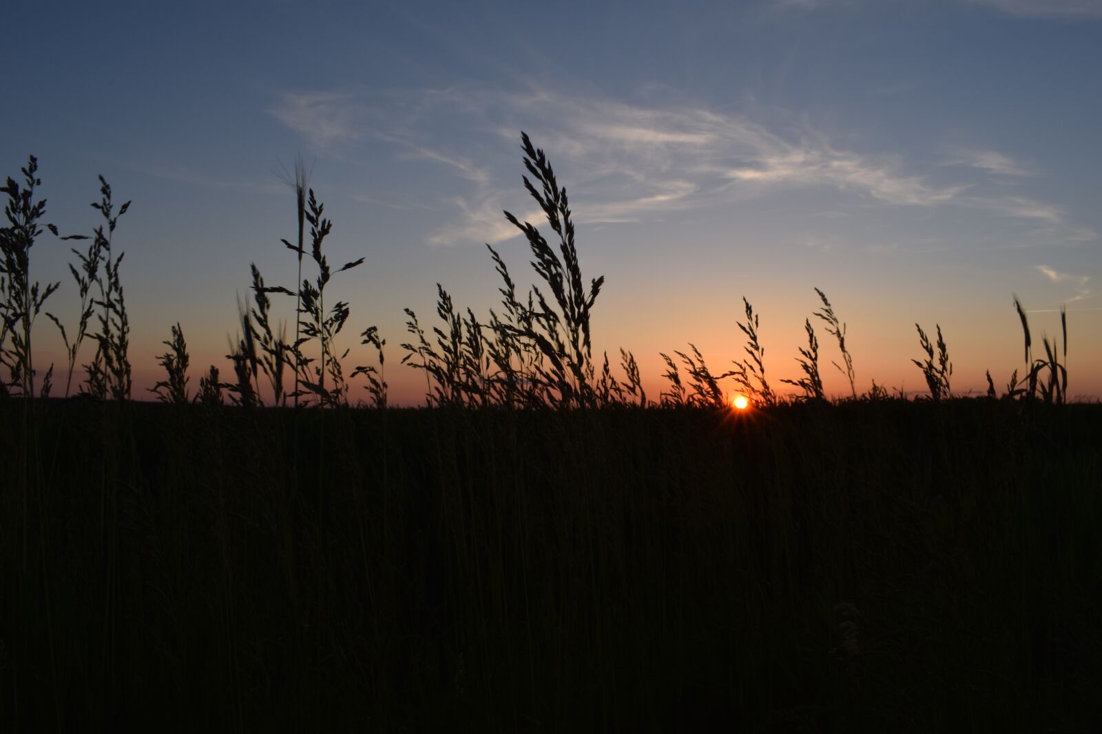 Nikon D3300 sample photo. Sunset, the sun, sun photography