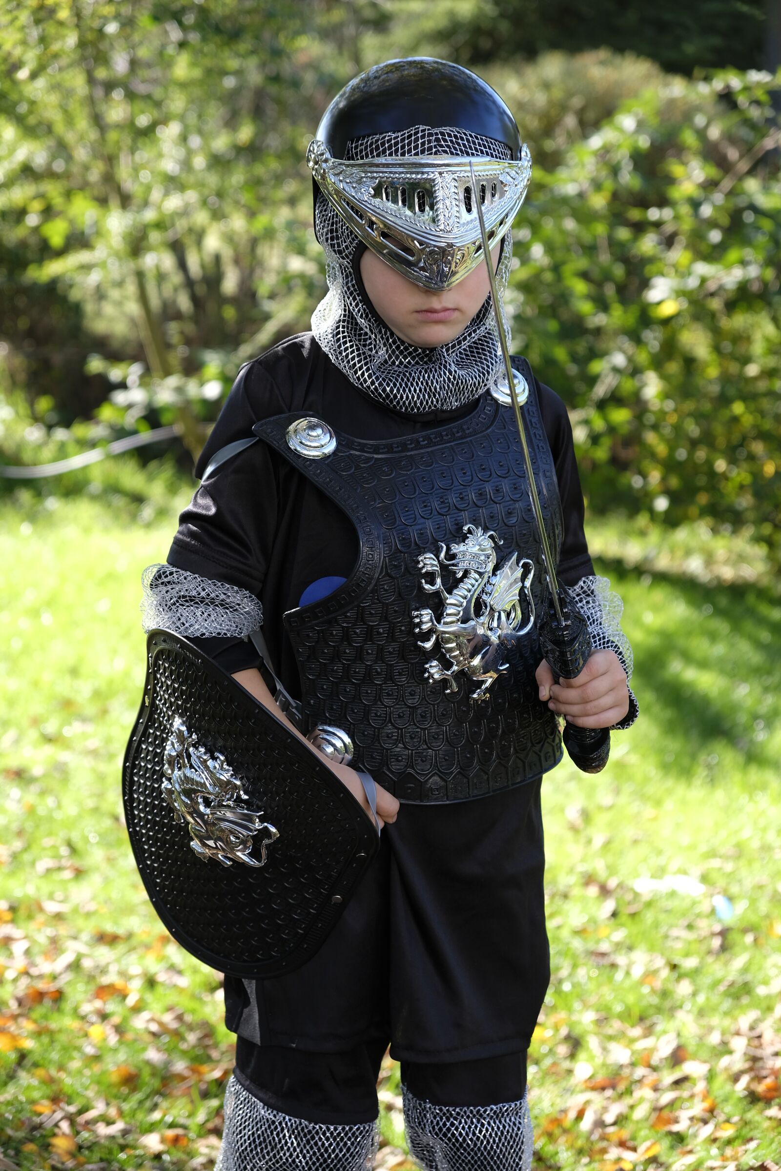 Fujifilm XF 18-55mm F2.8-4 R LM OIS sample photo. Knight, ritterruestung, armor photography