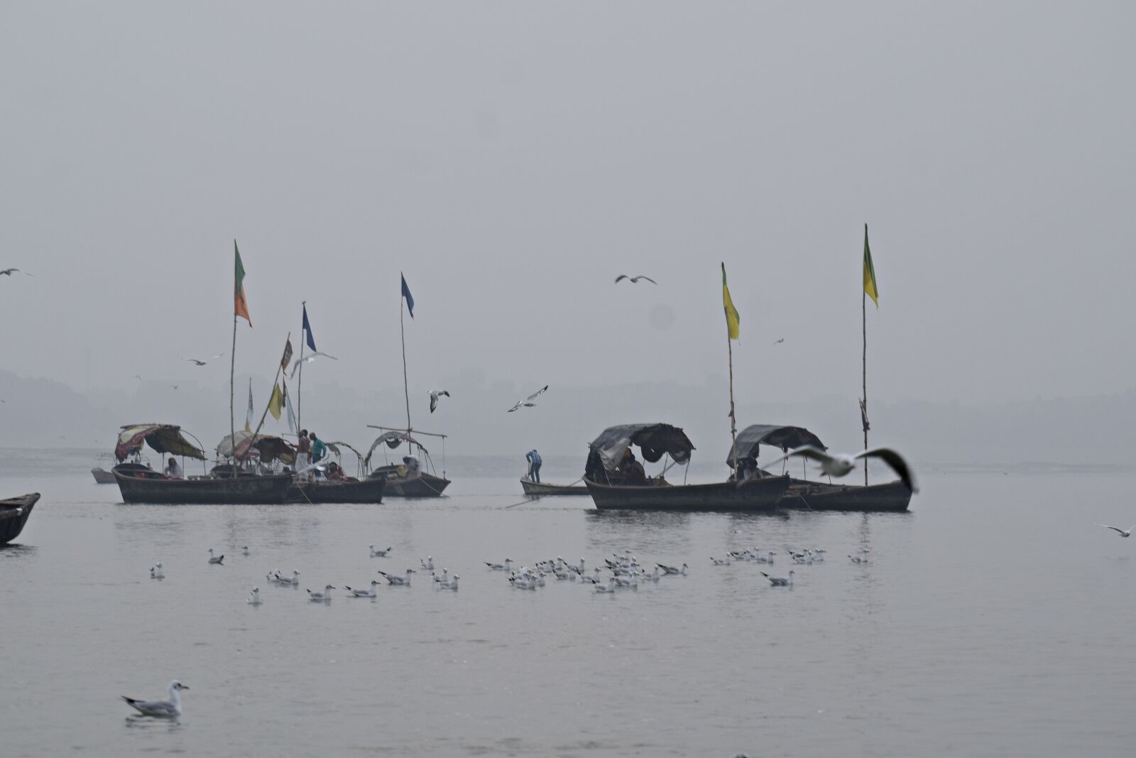 Nikon D3300 sample photo. River ganges, boats, seagulls photography