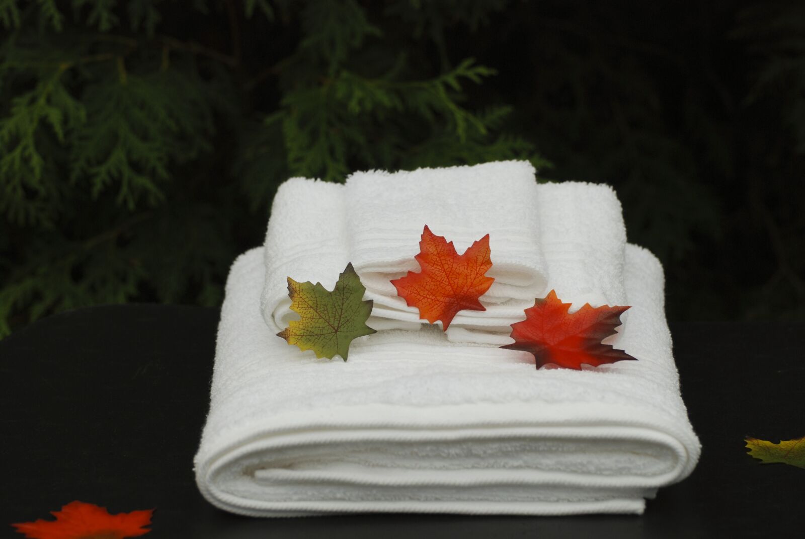 Nikon D80 sample photo. Spa, towels, health photography
