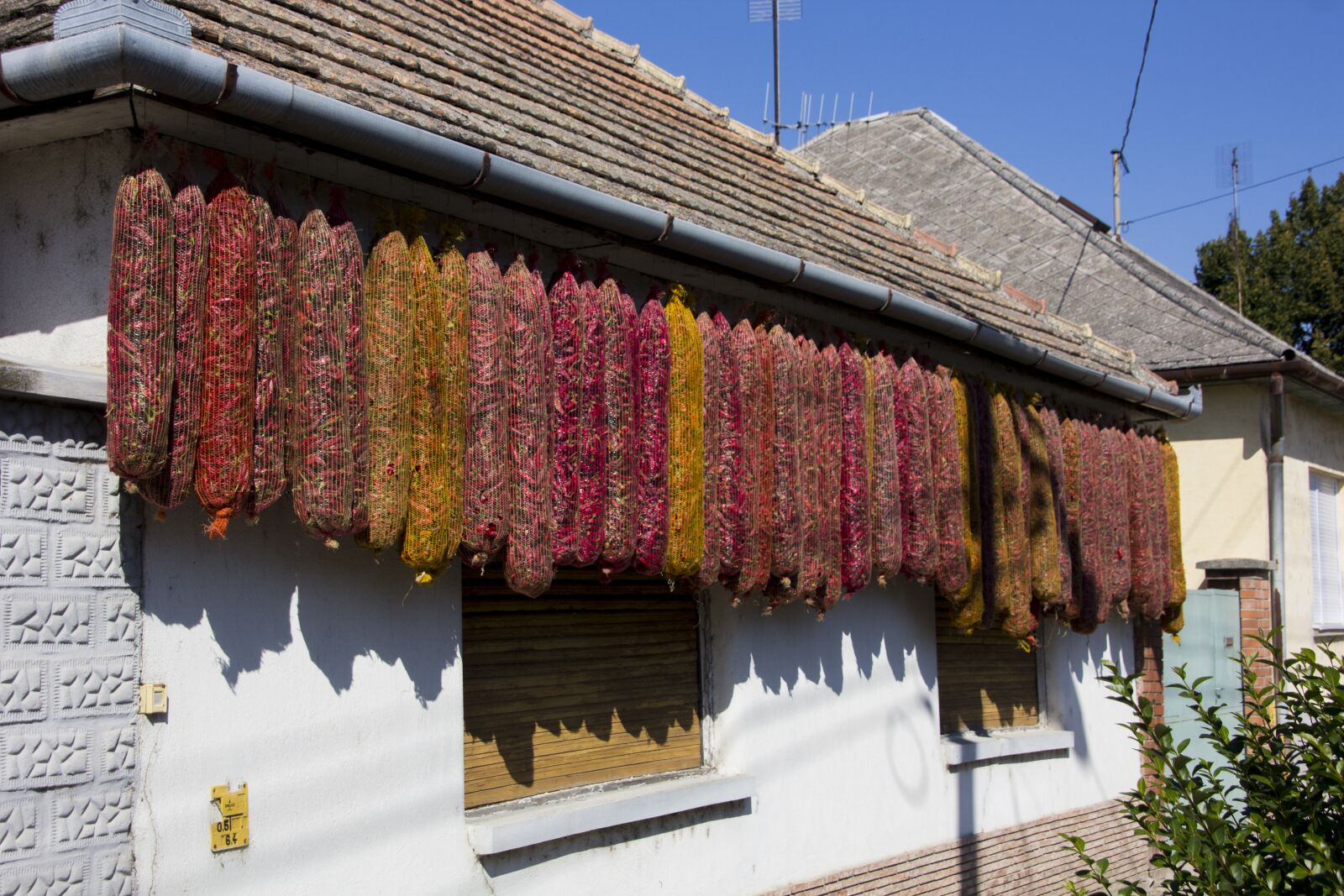Canon EOS 60D sample photo. Hungary, paprika, red photography