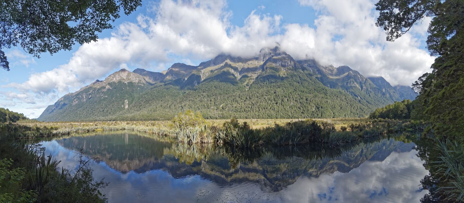 Nikon D500 sample photo. New zealand, fiordland national photography