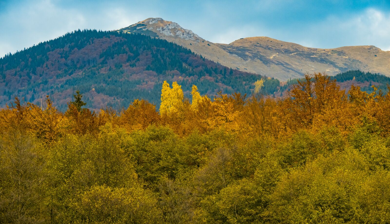 Panasonic Lumix DMC-FZ2500 (Lumix DMC-FZ2000) sample photo. Fatra, mountain, martin photography