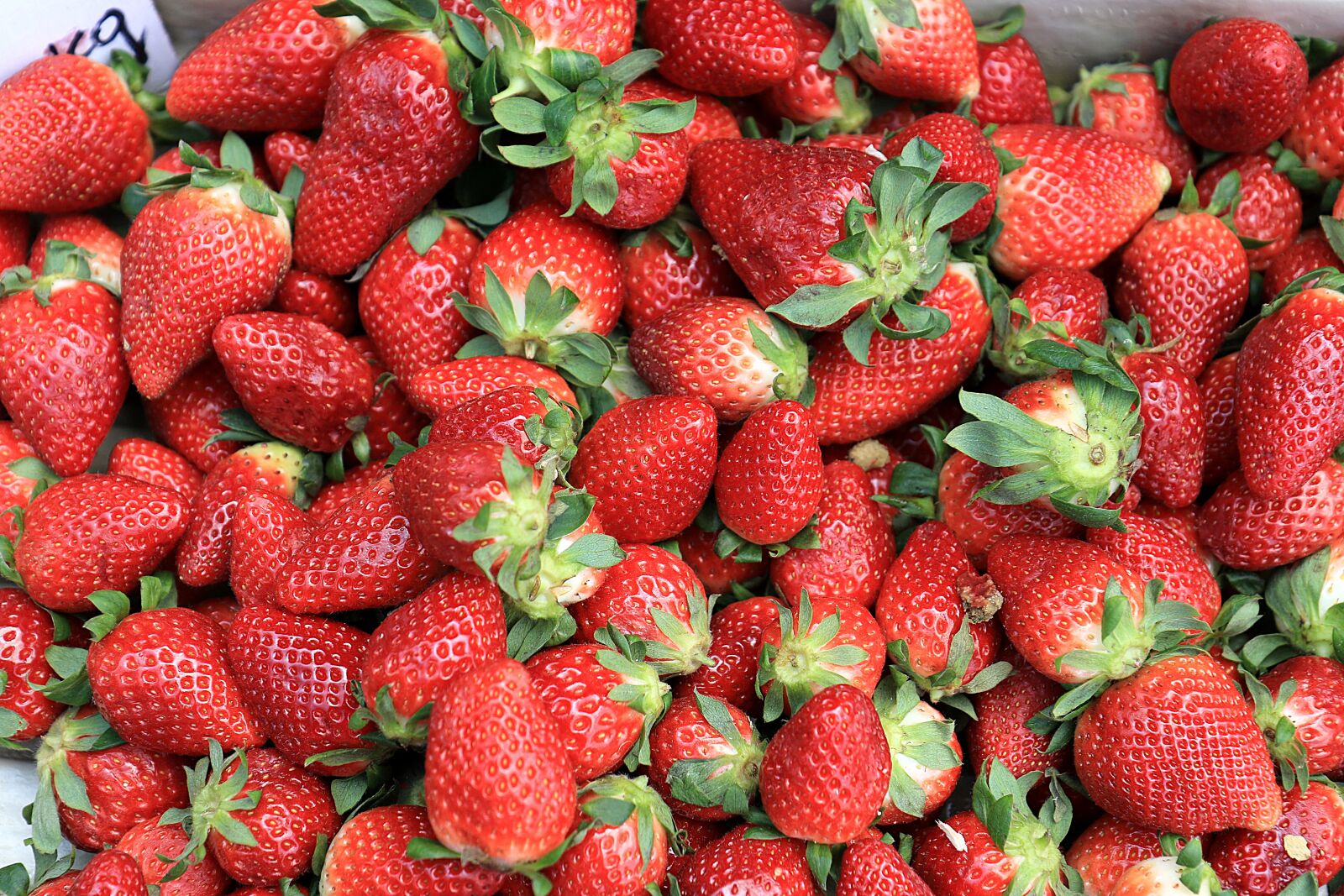 Canon EOS 7D Mark II sample photo. Strawberries, fruit, red photography