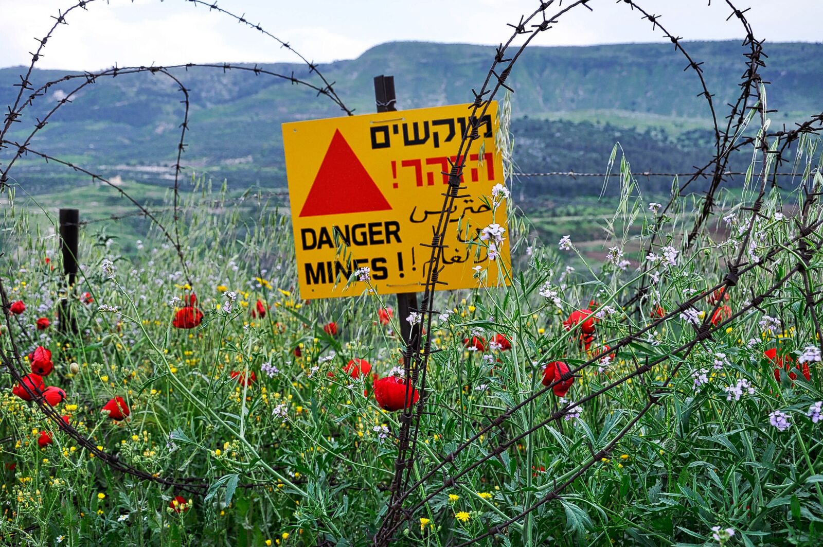 Nikon D5000 sample photo. Golan heights, israel, border photography